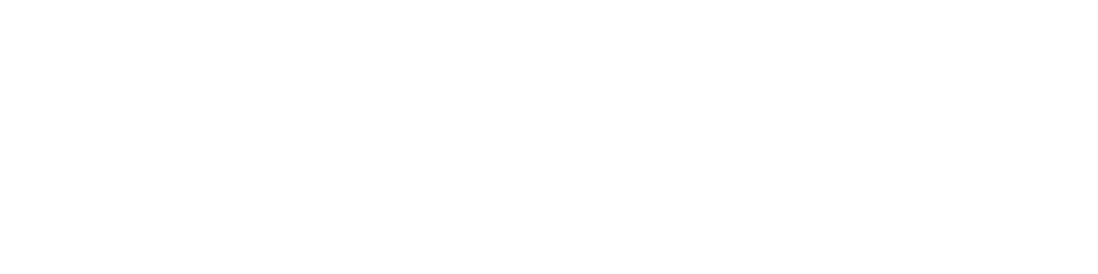 EverHype Systems